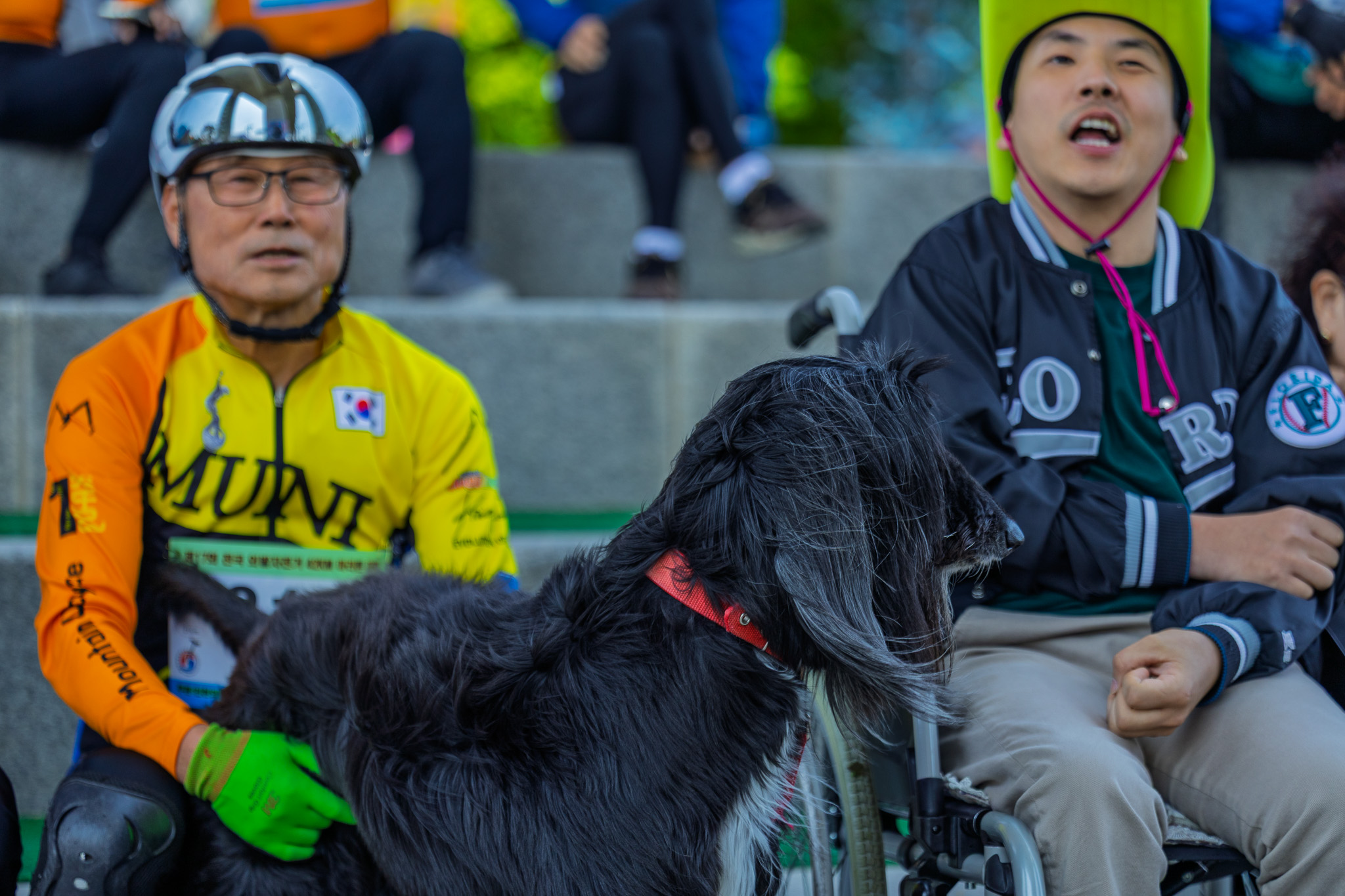 Canon EOS R8, RF100mm f2.8 L is usm